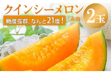 来年2026年先行予約！【発送5月上旬～】 メロン めろん 糖度21度以上！奇跡の クインシーメロン 2玉 赤肉 人気 おすすめ クインシー 甘い 濃厚 高糖度 自家栽培 メロン 贈答用 贈り物 プレゼント  送料無料 片岡農園 クレストファーム 茨城県 鉾田市