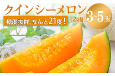 来年2026年先行予約！【発送5月上旬～】 最高糖度21度以上！奇跡の クインシー メロン 3～5玉 赤肉メロン めろん 人気 おすすめ クインシー 甘い 濃厚 高糖度 自家栽培 メロン 贈答用 贈り物 プレゼント  送料無料 片岡農園 クレストファーム 茨城県 鉾田市