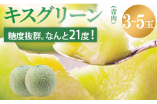 来年2026年先行予約！【発送5月下旬～】 メロン めろん 糖度21度以上！ 奇跡のキスグリーン 3～5玉 青肉 めろん おすすめ 人気 国産 青 産地直送 茨城 鉾田 フルーツ 旬 大きい プレゼント 贈り物 贈答 旬 定番 果物 くだもの 大玉 甘い 青肉