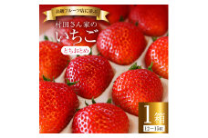《1月発送》いちご イチゴ 村田さん家のいちご【とちおとめ】1箱／12～15粒《1～4月上旬発送》ジューシー とちおとめ 大粒 甘い お祝い 贈答 にも オススメ 苺 村田さん家のいちご 村田農園 茨城県 鉾田市