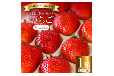 《2月発送》いちご イチゴ 村田さん家のいちご【とちおとめ】1箱／12～15粒《1～4月上旬発送》ジューシー とちおとめ 大粒 甘い お祝い 贈答 にも オススメ 苺 村田さん家のいちご 村田農園 茨城県 鉾田市