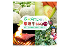 春の贅沢体験！メロン狩り＆常陸牛BBQセット（2名1組)
