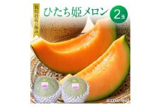 メロンの森オリジナル・濃厚な旨味「ひたち姫メロン」1箱（2個入）