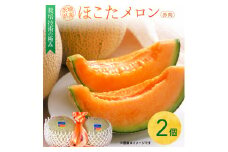 完熟収穫ならではの旨味「ほこたメロン／赤肉」1箱（2個入）