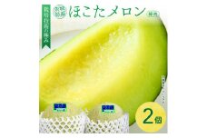 完熟収穫ならではの旨味「ほこたメロン／緑肉」1箱（2個入）