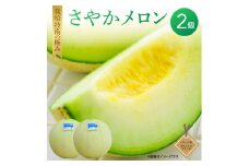 メロンの森オリジナル・人気の逸品「さやかメロン」1箱（2個入）