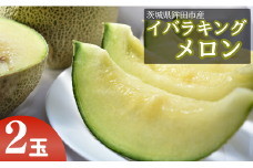 メロン めろん 茨城オリジナルメロン「イバラキング」《2玉》JAほこたなだろう ｜ 先行予約 めろん イバラキング おすすめ 人気 青肉 産地直送 茨城 鉾田 フルーツ プレゼント 贈り物 茨城県 鉾田市 鉾田 青肉 オリジナル 国産 送料無料 甘い 旬 スイーツ