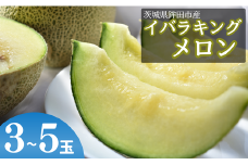 メロン めろん 茨城オリジナルメロン「イバラキング」《3玉～5玉》JAほこたなだろう ｜ 先行予約 めろん イバラキング おすすめ 人気 青肉 産地直送 茨城 鉾田 フルーツ プレゼント 贈り物 茨城県 鉾田市 鉾田 青肉 オリジナル 国産 送料無料 甘い 旬