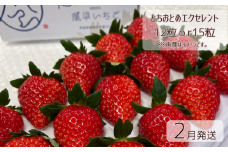 【2月発送】いちご とちおとめエクセレント（12粒or15粒）1箱 苺 イチゴ とちおとめ 選べる 発送月 発送回数 個数 いちご「とちおとめ」風早いちご園 有名ホテル使用 厳選 フルーツ 果物 季節限定 甘い 濃厚 ジューシー 新鮮 送料無料 ギフト 贈答 茨城県 鉾田市 野菜王国 予約受付