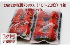 【3ヶ月定期便】いちご 「とちおとめ特選デラックス」1箱／10～22粒入×3回 苺 イチゴ とちおとめ 選べる 発送月 発送回数 個数 いちご「とちおとめ」風早いちご園 有名ホテル使用 厳選 フルーツ 果物 季節限定 甘い 濃厚 ジューシー 新鮮 1箱 送料無料 ギフト 贈答 茨城県 鉾田市 野菜王国 予約受付