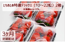 【3ヶ月定期便】いちご「とちおとめ特選デラックス」2箱×10～22粒入　3回 苺 イチゴ とちおとめ 選べる 発送月 発送回数 個数 いちご「とちおとめ」風早いちご園 有名ホテル使用 厳選 フルーツ 果物 季節限定 甘い 濃厚 ジューシー 新鮮 2箱 送料無料 ギフト 贈答 茨城県 鉾田市 野菜王国 予約受付