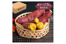 焼き芋 紅はるか 1.5kg 干しいものいいじま 焼きいも やきいも べにはるか 冷蔵便茨城 鉾田 さつまいも サツマイモ 自社農園