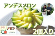 メロン めろん  アンデスメロン 2個（大玉3kg以上） 山一ファーム おすすめ 人気 国産 山一ファーム 茨城 鉾田 フルーツ 旬 プレゼント 贈り物 甘い ヘルシースイーツ 産地直送 農業王国 青肉 緑肉 送料無料