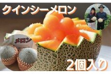 メロン めろん クインシーメロン 2個（大玉3kg以上） 山一ファーム おすすめ 人気 国産 赤 茨城 鉾田 フルーツ 旬 プレゼント 贈り物 甘い ヘルシースイーツ 産地直送 農業王国 赤肉 5月～6月発送 送料無料