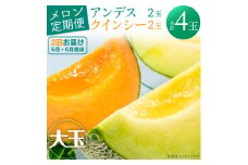 山一ファームのメロン『2ヵ月定期便』5月アンデス2玉・6月クインシー2玉
