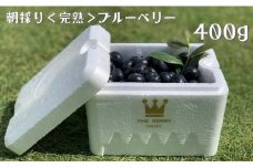 朝採り＜完熟＞ブルーベリー　400g