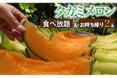 タカミメロンの食べ放題＆お持ち帰りメロン2玉（30分）2名様分