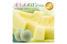 メロン メロン 中玉【オトメメロン】緑肉　2玉入り(3～5kg)  ギフト 鉾田 果物 人気 おすすめ 贈答 茨城 お返し 先行予約 スイーツ 送料無料 味 茨城県 還元率 青肉 フルーツ めろん 鉾田市 デザート くだもの お取り寄せ 甘い ジューシー 期間限定 