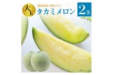 メロン めろん 大玉【タカミメロン】緑肉　2玉入り(5kg以上) ギフト 鉾田 果物 人気 おすすめ 贈答 茨城 お返し 先行予約 スイーツ 送料無料 味 茨城県 還元率 青肉 フルーツ めろん 鉾田市 デザート くだもの お取り寄せ 甘い ジューシー 期間限定