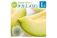 メロン めろん 特大【タカミメロン】緑肉　1玉入り（3kg以上） ギフト 鉾田 果物 人気 おすすめ 贈答 茨城 お返し 先行予約 スイーツ 送料無料 味 茨城県 還元率 青肉 フルーツ めろん 鉾田市 デザート くだもの お取り寄せ 甘い ジューシー 期間限定