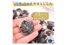 冷凍やまとしじみ（大玉）3パック（1パック350g～400g）