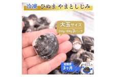 【3ヶ月定期便】冷凍やまとしじみ（大玉）3パック（1パック350g～400g）×3回