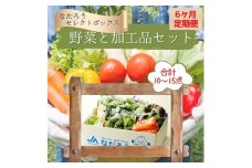 【6ヶ月定期便】野菜と加工品「なだろう」セレクトボックス