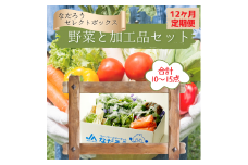 【12ヶ月定期便】野菜と加工品「なだろう」セレクトボックス