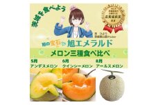【3回お届け便】3種食べ比べ　旭メロン（アンデス・クインシー・アールス）