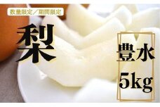 梨（豊水）5kg×1箱