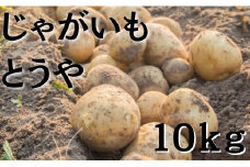 じゃがいも【とうや】10kg