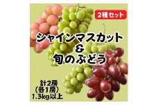 【ぶどうの2種セット】シャインマスカット＆旬のぶどう（各1房 計2房）1.3kg 以上 クイーンニーナ 紫玉 スカーレット マスカットノワール から旬のオススメぶどうをお届け 先行予約 フルーツ 茨城 鉾田市