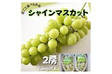 シャインマスカット（2房） 1.3kg 以上 ハウス栽培 茨城 鉾田市 フルーツ 先行予約 