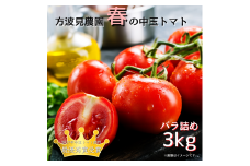 春の中玉トマト　バラ詰め／3kg