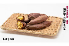 茨城県産 焼き芋紅はるか 1.5kg×2箱(計3kg) さつまいも 焼きいも