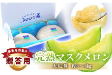 高級アールスメロン（マスクメロン）　2個入り（約3kg～4kg）／大玉 メロン めろん アールス マスク おすすめ 人気 国産 青肉 産地直送 茨城 鉾田 フルーツ 旬 大きい プレゼント 贈り物 旬 定番 果物 くだもの 甘い 高級 完熟 贈答用 ギフト 