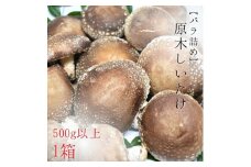 【バラ詰め】原木しいたけ　500g以上／1箱