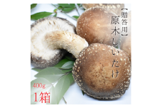 【贈答用】原木しいたけ　1パック（400g）入り／1箱