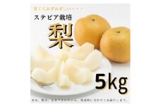 ステビア栽培「梨」5kg（幸水または豊水またはあきづき）