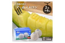 メロン めろん 太陽の恵み［ アールスメロン ］4Lサイズ／2玉　約4kg おすすめ 人気 国産 青肉 産地直送 茨城 鉾田 フルーツ 旬 大きい プレゼント 贈り物 旬 定番 果物 くだもの 甘い なめらか 高級 大森農園 先行予約 フルーツ先行予約 メロン先行予約
