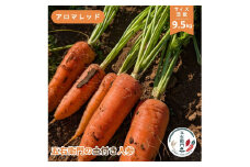 五右衛門の 土付き人参 ［ アロマレッド ］9.5kg （SS～LLサイズ混載　35本前後）にんじん ニンジン キャロット 土付き 鉾田 茨城