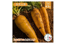 五右衛門の 土付き人参 ［ 金美人参 ］4.5kg （SS～LLサイズ混載　20本前後）にんじん ニンジン キャロット 土付き 鉾田 茨城