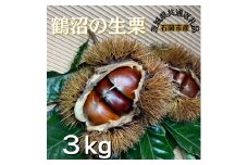 石岡鶴沼の 生栗　3キログラム（茨城県共通返礼品・石岡市産）