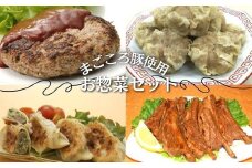 お惣菜セット ハンバーグ140g×3個・焼売10個・餃子10個・スペアリブ2本 まごころ豚