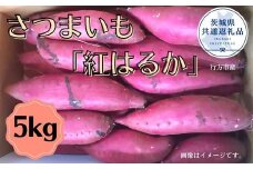 さつまいも「紅はるか」5kg（茨城県共通返礼品／行方市産）