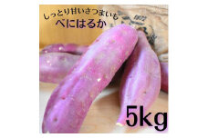 しっとり甘いさつまいも！べにはるか 5kg 紅はるか