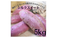 蔵出！とろーり天使の甘さのサツマイモ！シルクスイート 5kg