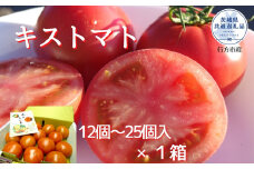 【2024年2月以降発送】キストマト12個～25個入×1箱（茨城県共通返礼品／行方市産）