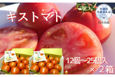 【2024年2月以降発送】キストマト12個～25個入×2箱（茨城県共通返礼品／行方市産）