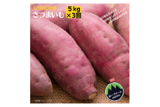 【3ヶ月定期便】さつまいも　5kg×3回（1月安納芋・ 2月シルクスイート・ 3月紅はるか）